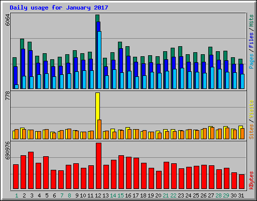 Daily usage for January 2017