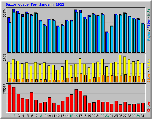 Daily usage for January 2022