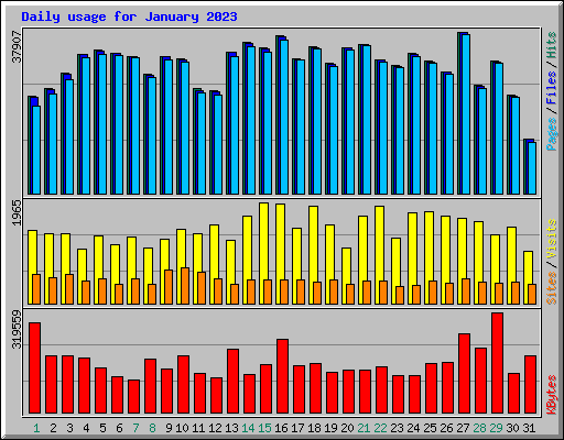 Daily usage for January 2023