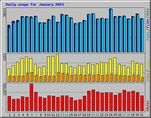 Daily usage for January 2024