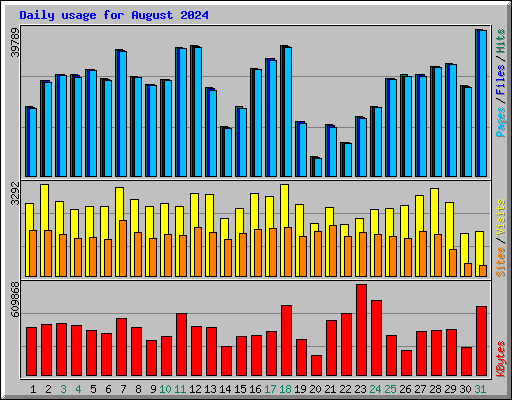 Daily usage for August 2024