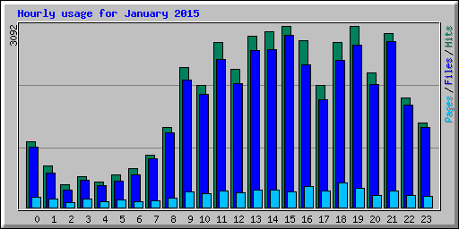 Hourly usage for January 2015