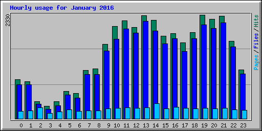 Hourly usage for January 2016