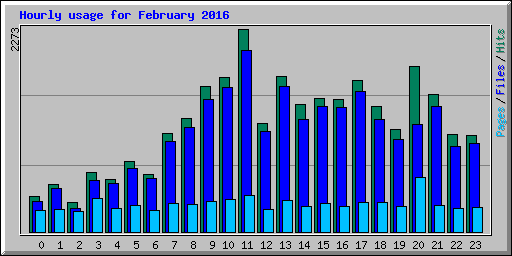 Hourly usage for February 2016