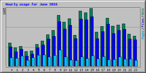 Hourly usage for June 2016