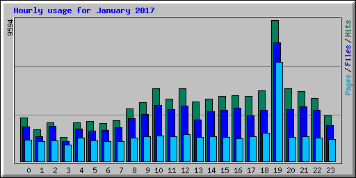 Hourly usage for January 2017