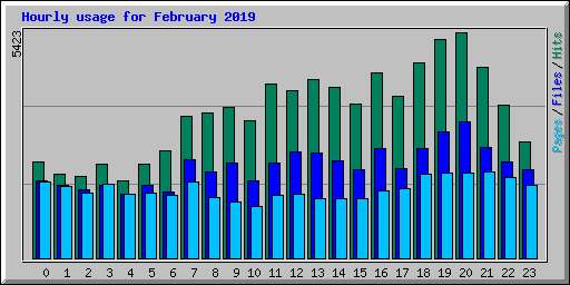 Hourly usage for February 2019