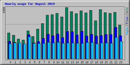 Hourly usage for August 2019