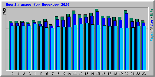 Hourly usage for November 2020