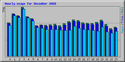 Hourly usage for December 2020