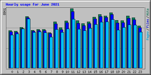 Hourly usage for June 2021