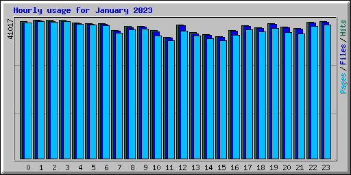 Hourly usage for January 2023