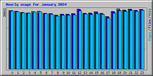 Hourly usage for January 2024