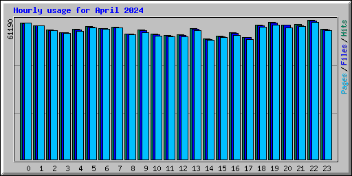 Hourly usage for April 2024