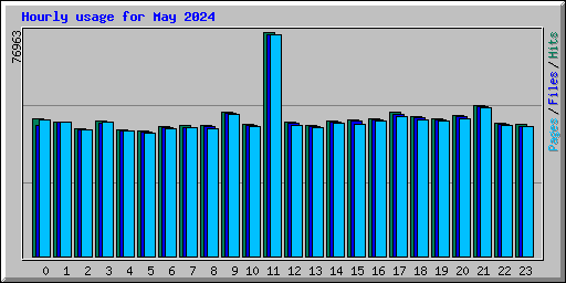 Hourly usage for May 2024