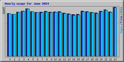 Hourly usage for June 2024