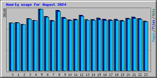 Hourly usage for August 2024