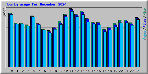 Hourly usage for December 2024