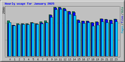 Hourly usage for January 2025