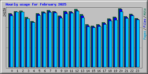 Hourly usage for February 2025