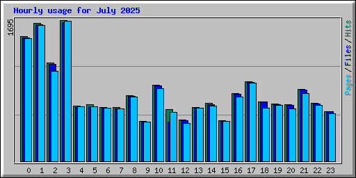 Hourly usage for July 2025