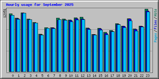 Hourly usage for September 2025