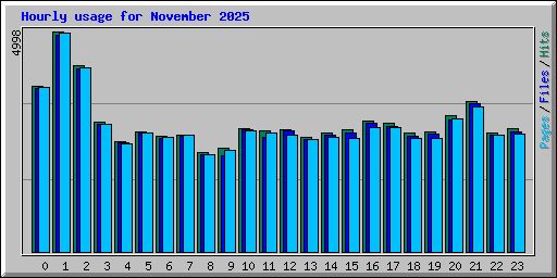 Hourly usage for November 2025