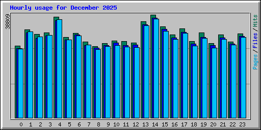 Hourly usage for December 2025