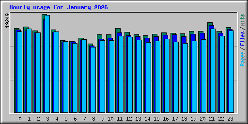 Hourly usage for January 2026